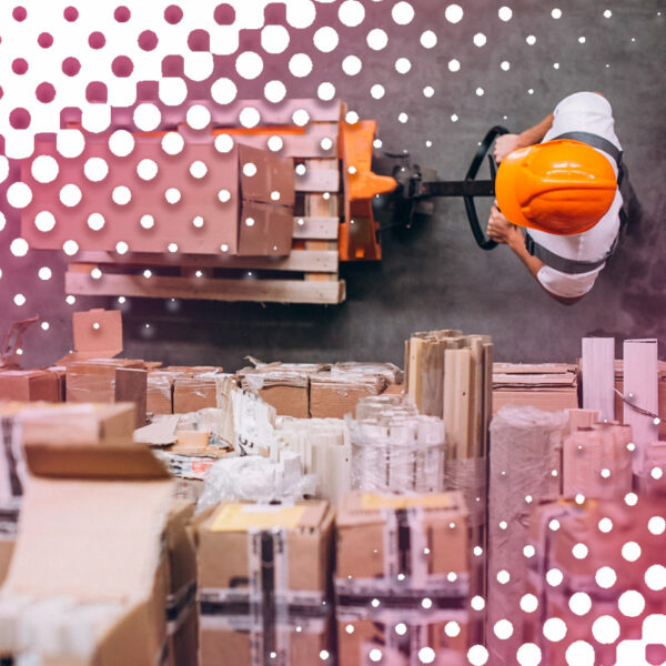 Logística de almacenamiento: Normativa, organización y supervisión